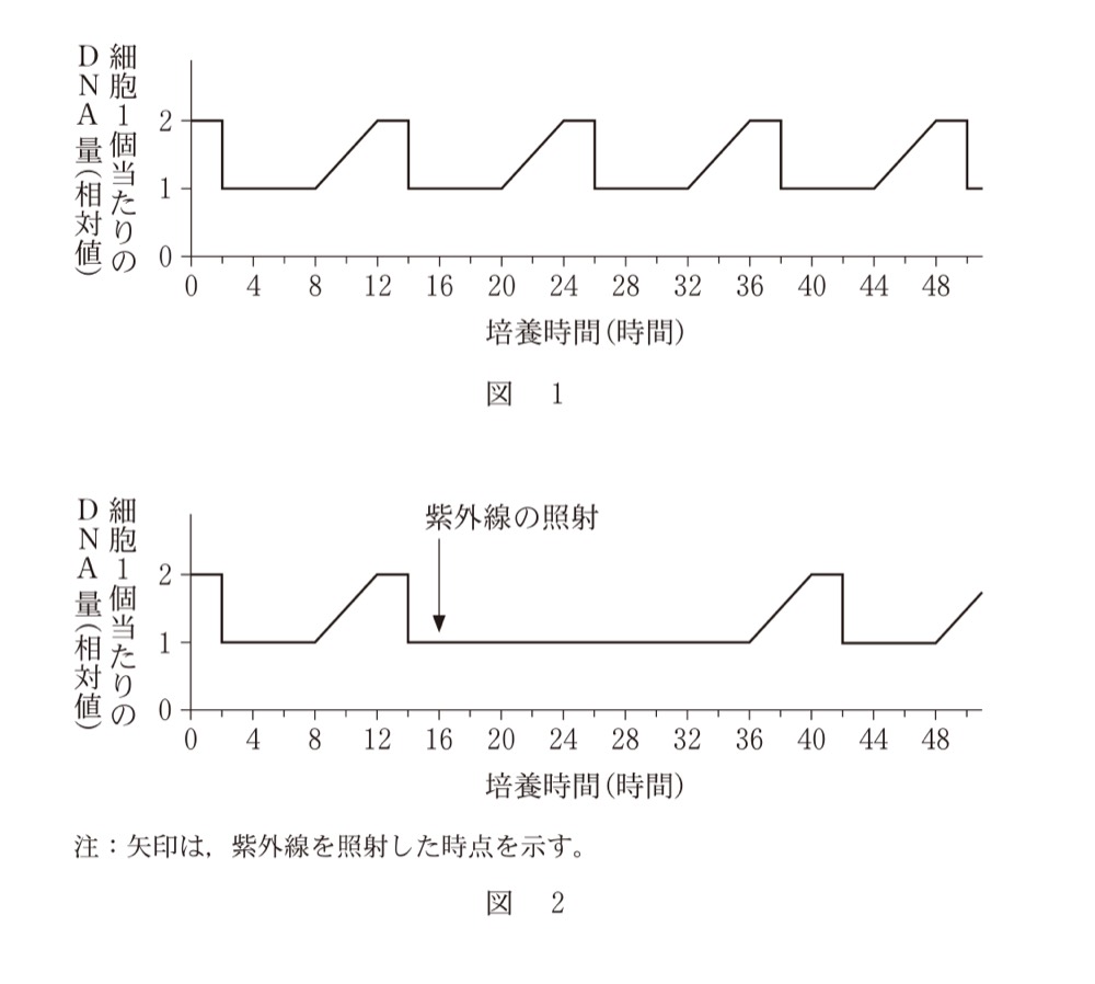 BK-PAST-R6-CELL-CYCLEの問題図版