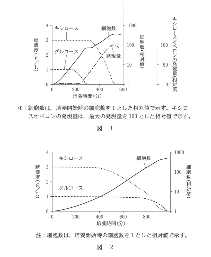 BI-PAST4-R6-DIAUXIC-GROWTHの問題図版
