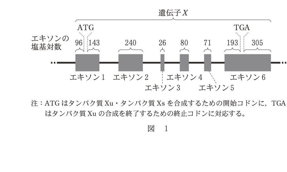 BI-PAST4-R7-ALTERNATIVE-SPLICINGの問題図版