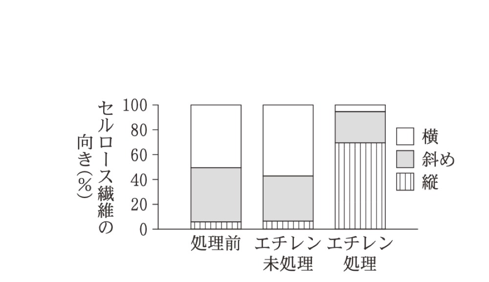 BI-PAST-R8-ETHYLENE-CELLULOSEの問題図版