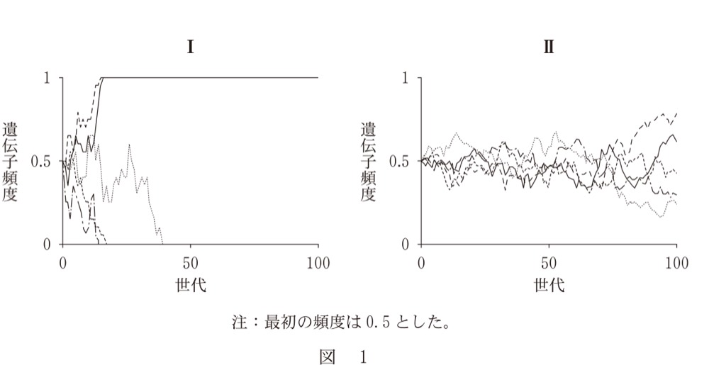BI-PAST-R8-GENETIC-DRIFTの問題図版