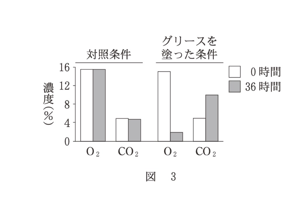 BI-PAST-R8-MANGROVE-GASの問題図版