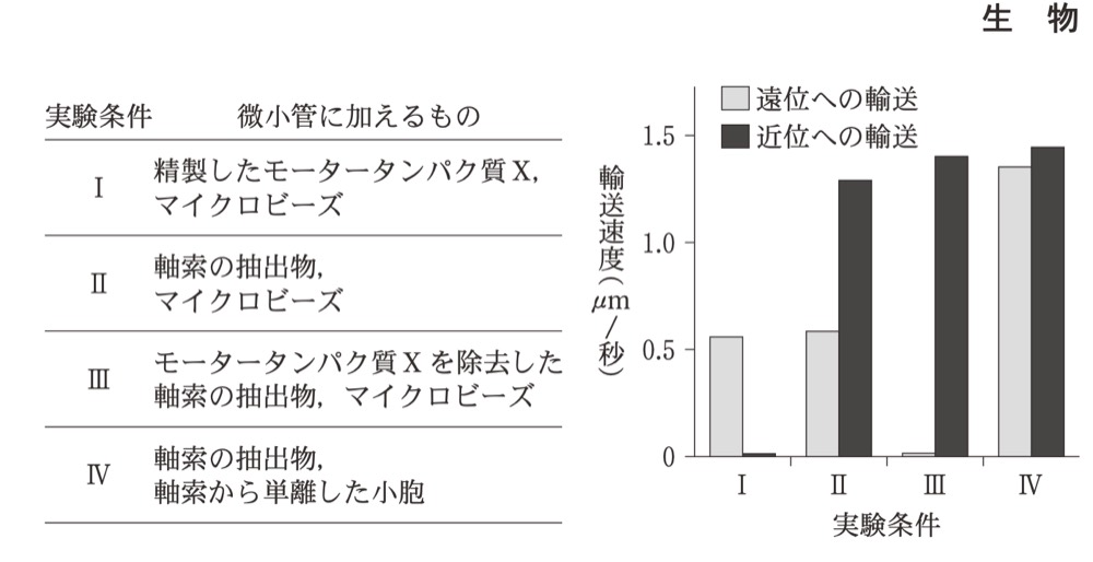 BI-PAST-R8-MOTOR-TRANSPORTの問題図版