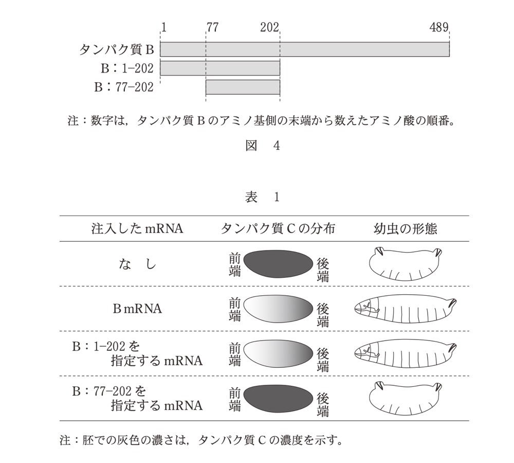 BI-PAST-R8-PROTEIN-DOMAINの問題図版