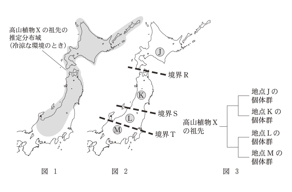 BI-PAST4-R8-ALPINE-SPECIATIONの問題図版