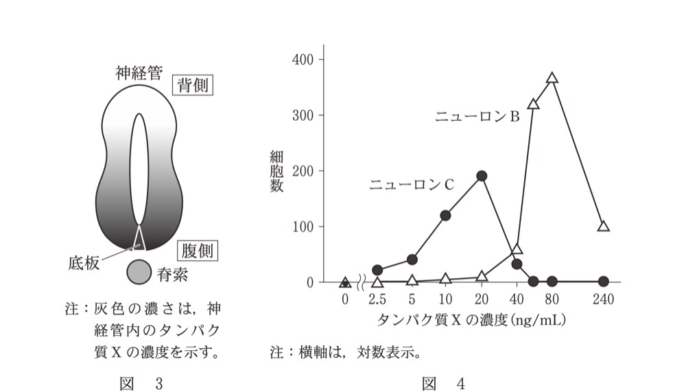 BI-DEVELOPMENT-04の問題図版